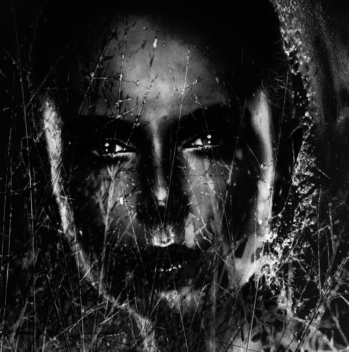 Illustrative Portrait Photograph By Bojan Jevtic, 39 X 39, Looking Through Darkness, Original Artwork