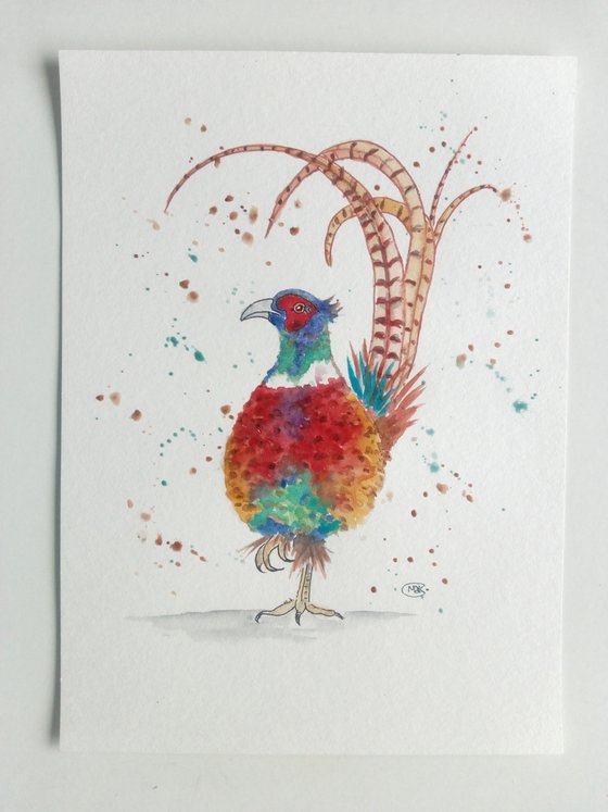 Pheasant Bird