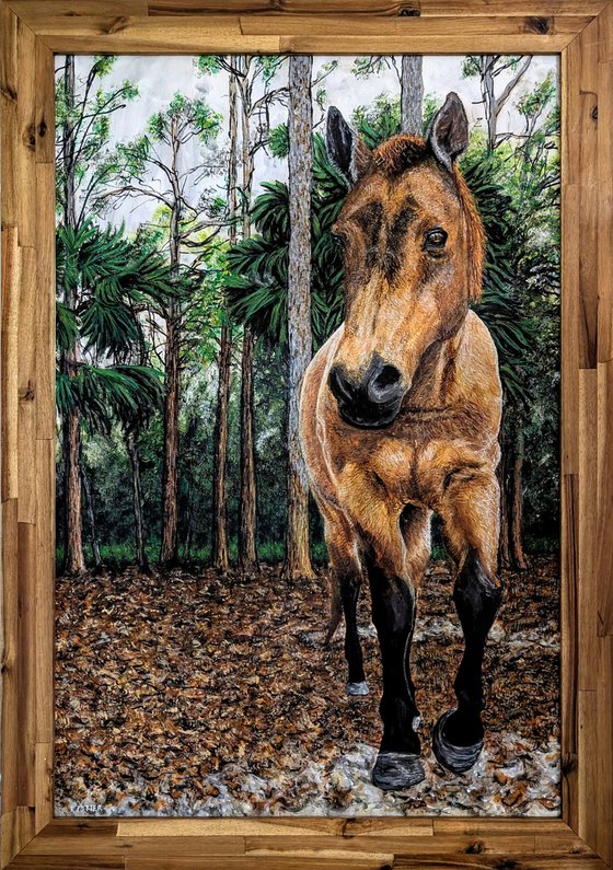 Diamond, Rescued Horse