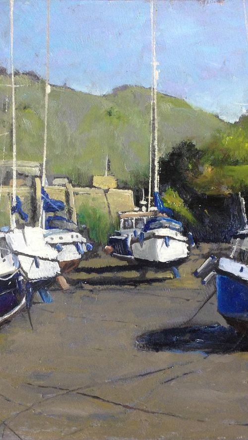 Ilfracombe boats by Ray Sandom