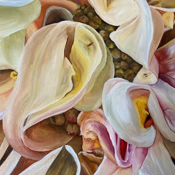 Magic Dahlia Petals