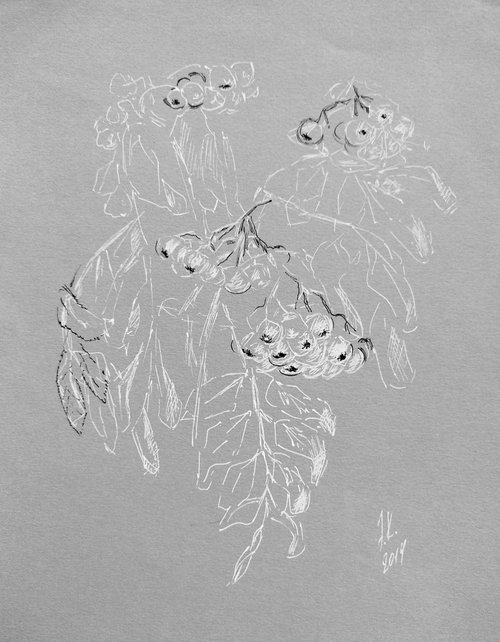 Autumn berries. Drawing in white end black ink on gray paper. by Yury Klyan