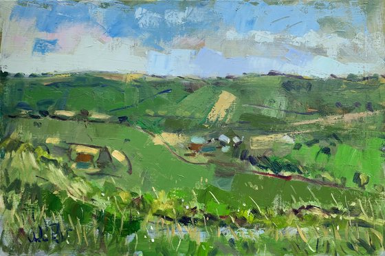 The Downs above Sompting