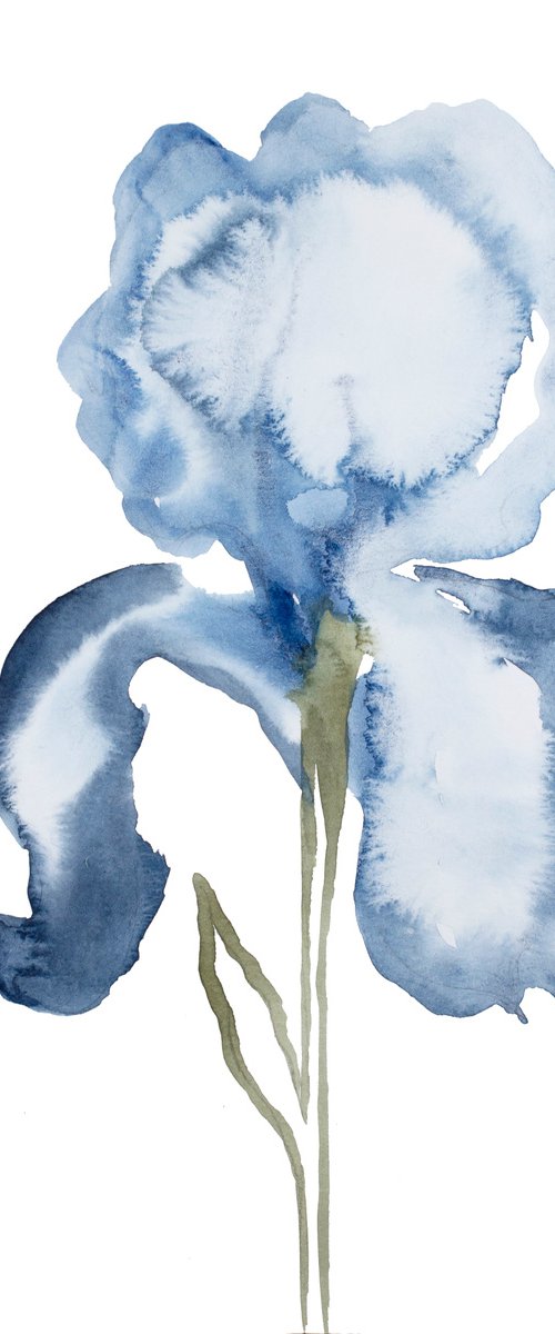Iris No. 128 by Elizabeth Becker