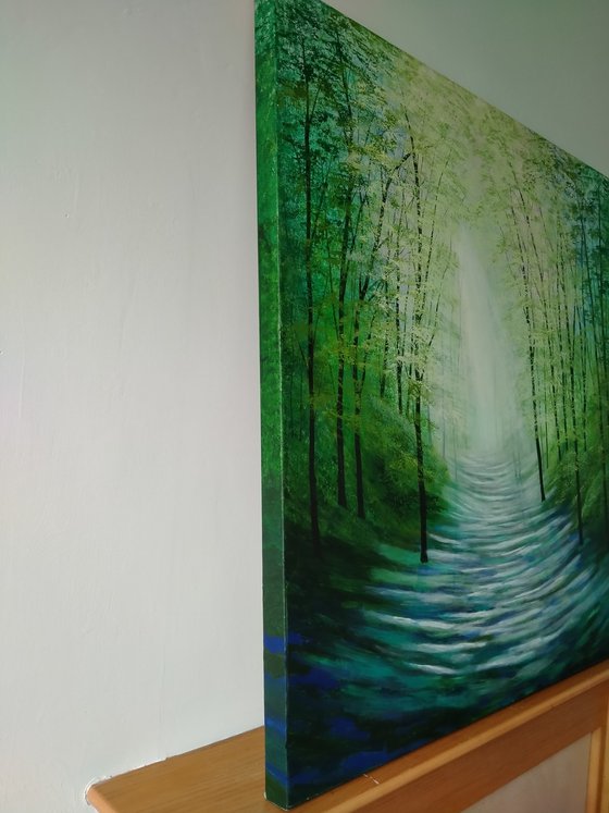 Sunlight Serenade Forest Glade