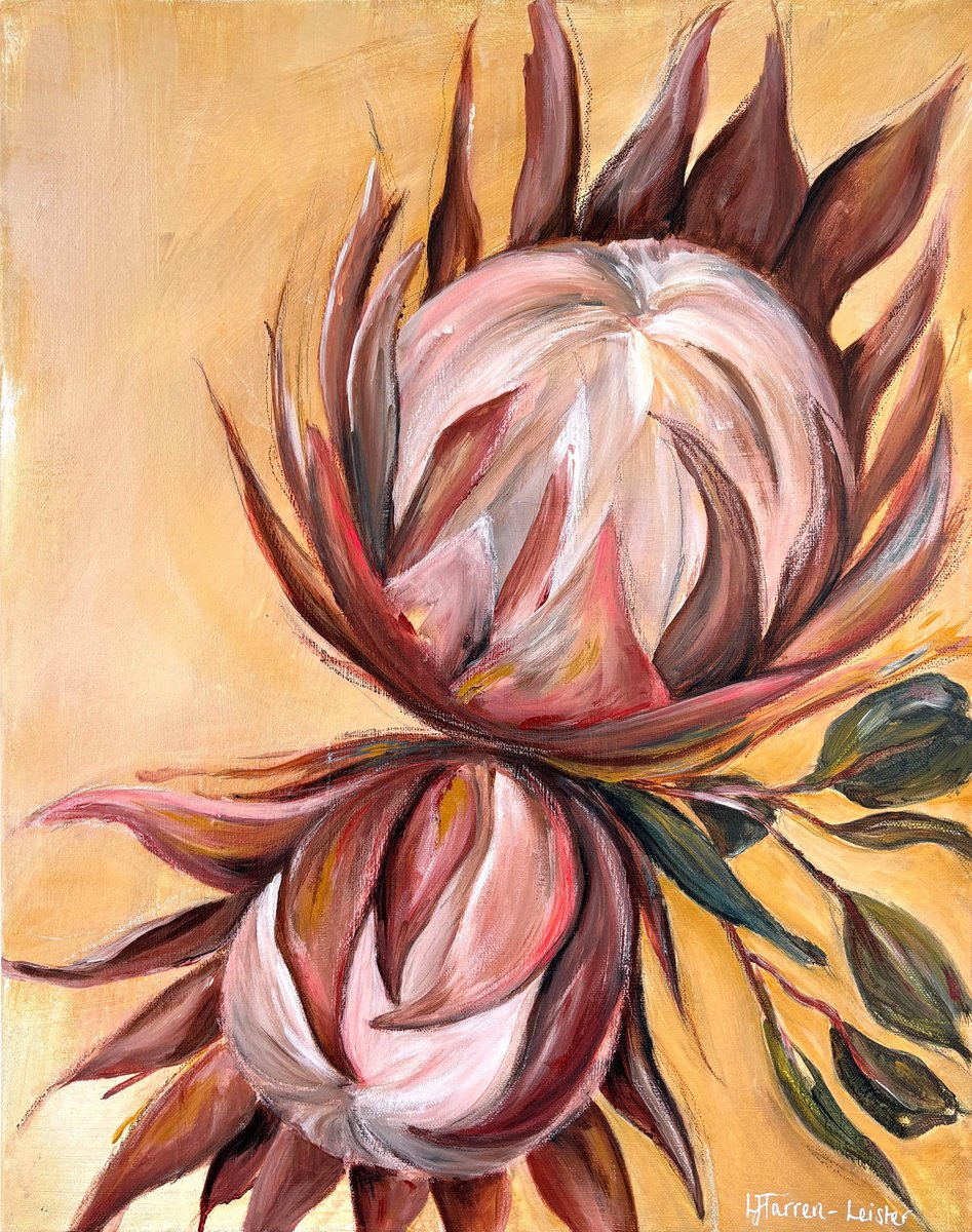 Proteas In Warm Light By Lyndsay Tarren-Leister, 16 X 20, Artwork For Sale On Artfinder