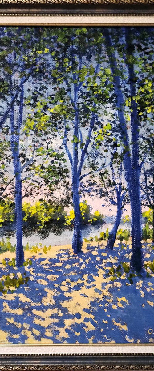 Sunny shore by Oleh Rak