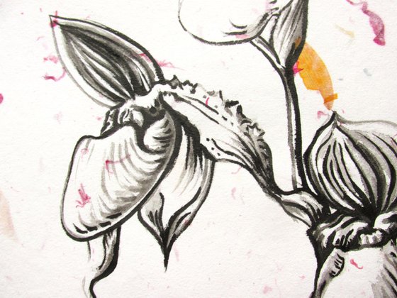 ladyslipper orchid ink drawing on hand made flower paper