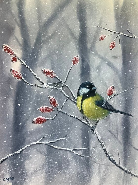 Great tit amongst the Hawthorn