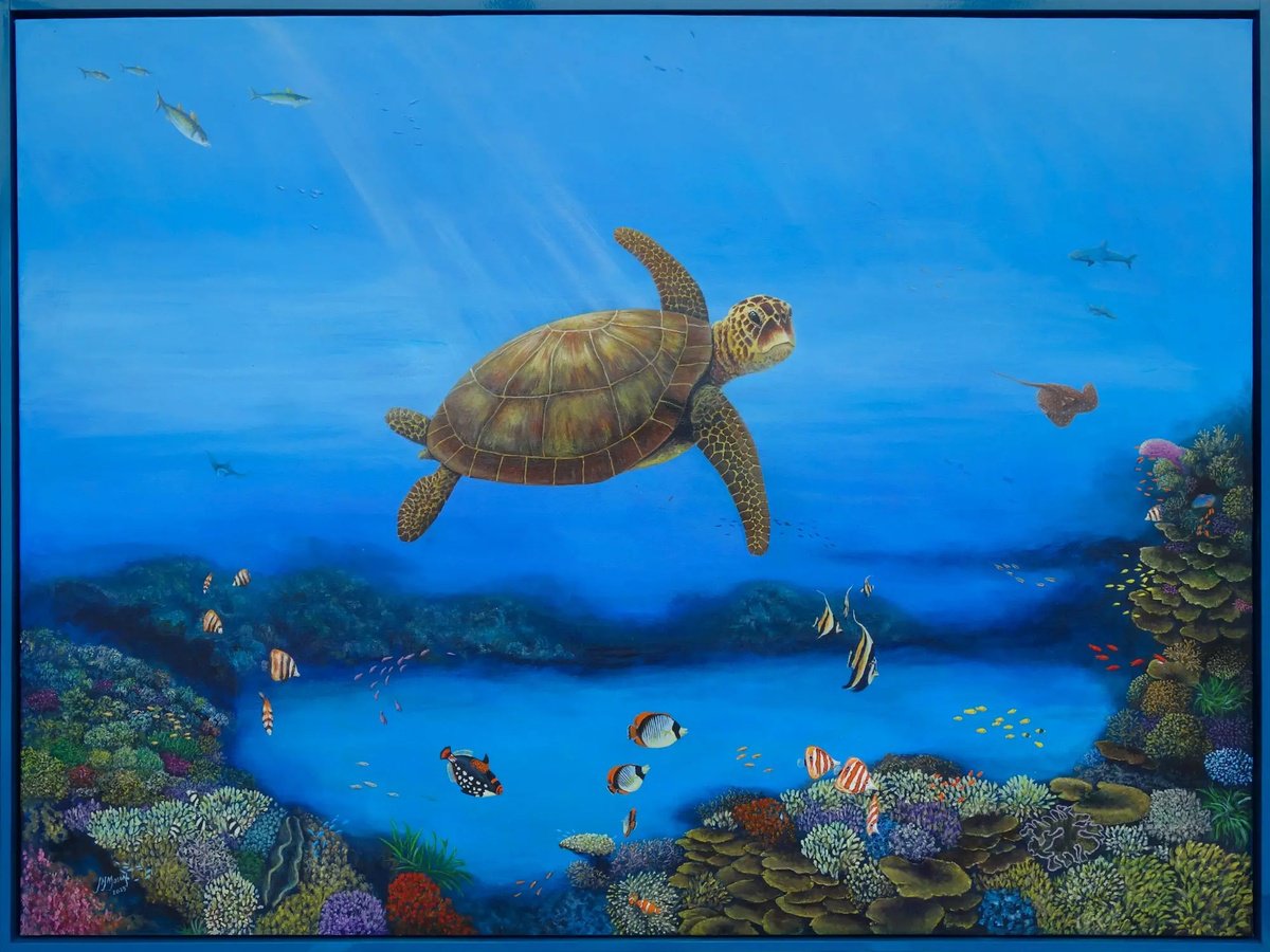 Greenback Turtle 2 by John N Mason