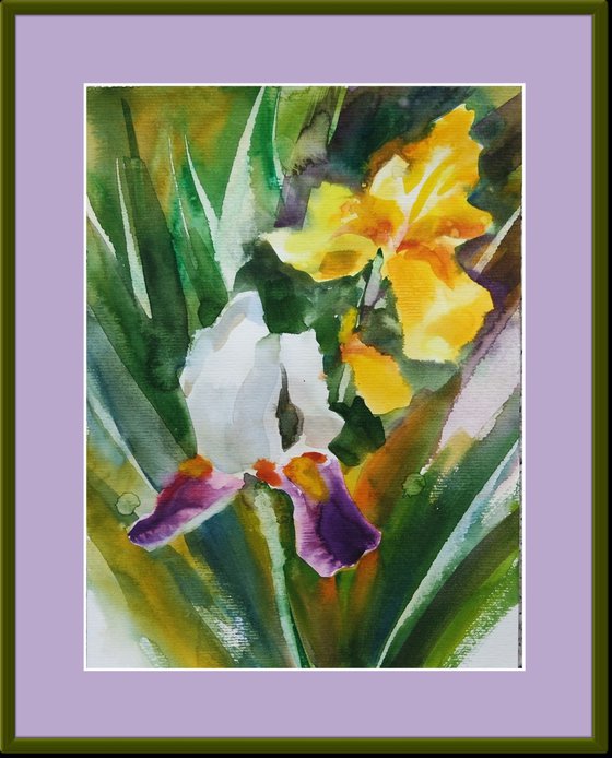 Purple White and Yellow Irises Loose Watercolor Painting