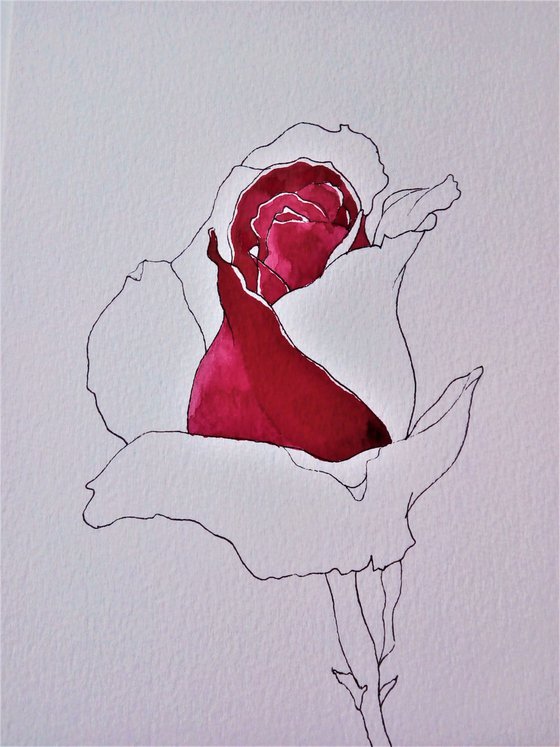 RED ROSE III