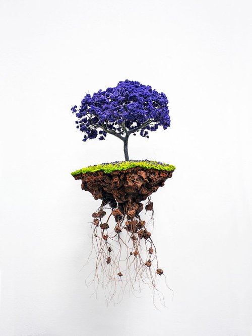 Blue Bonsai by Chiara Vignudelli