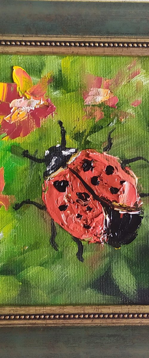 Ladybird by Nataliia Plakhotnyk