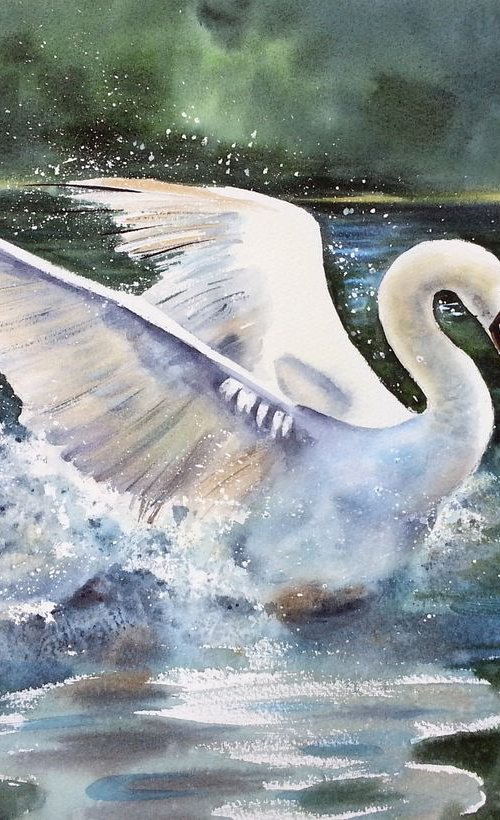 White Swan painting - Swan Lak by Olga Beliaeva Watercolour
