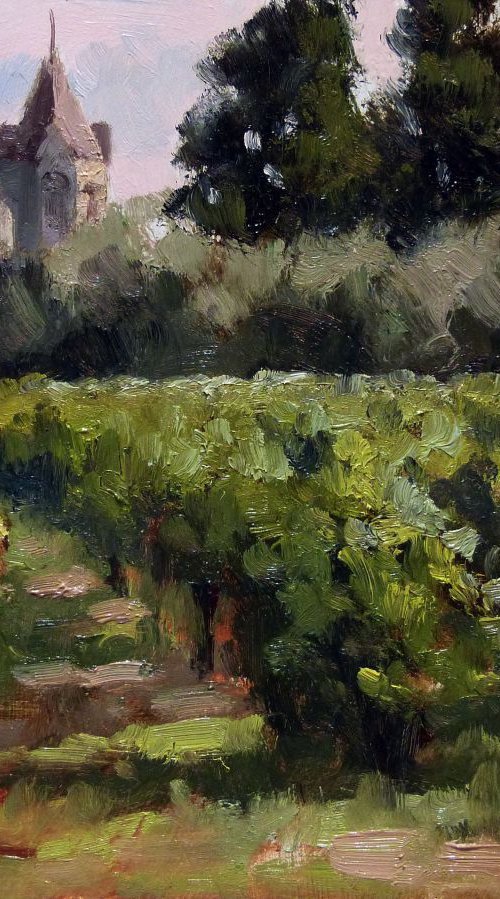 St Honorat Island by Pascal Giroud
