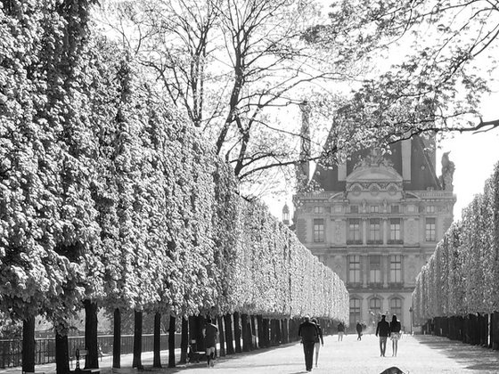 Jardin des Tuileries