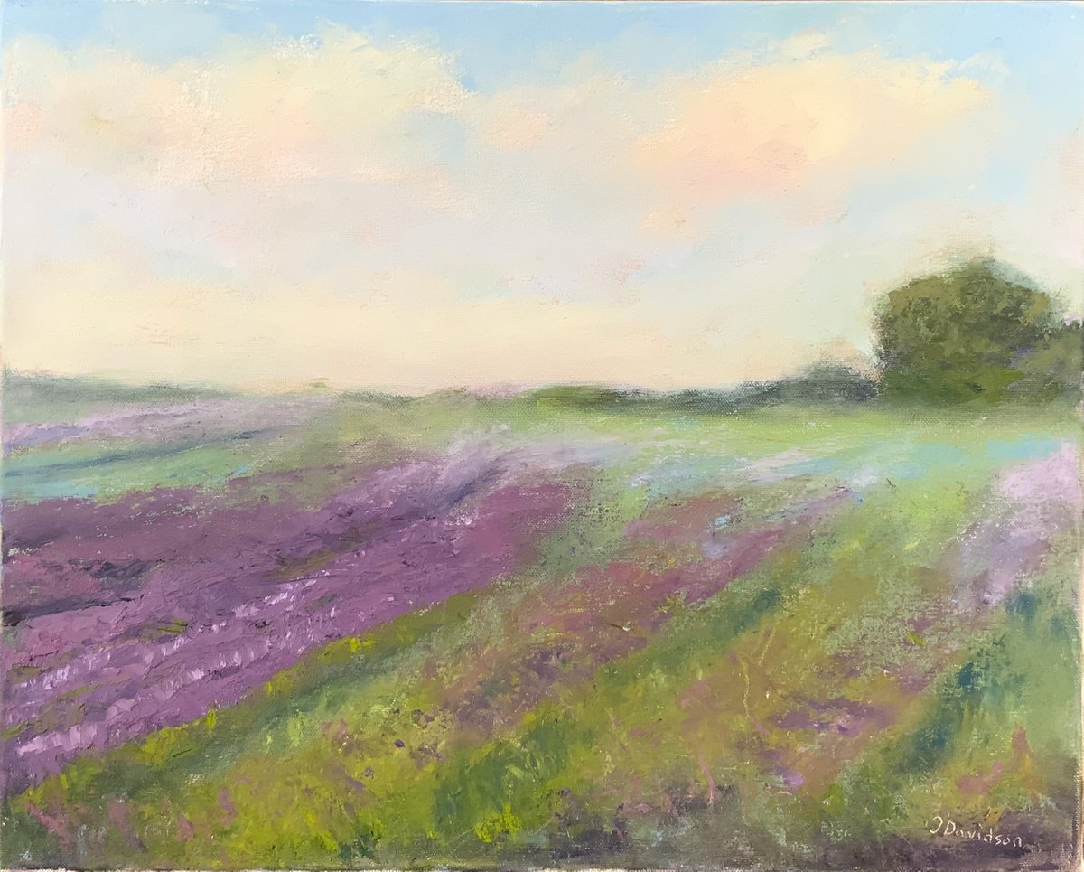Lavender Field by Jessica Davidson