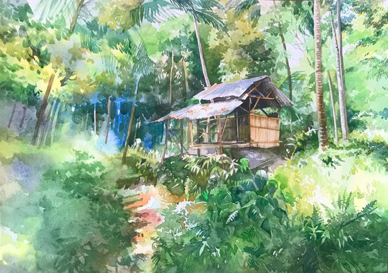 Shack in the jungle
