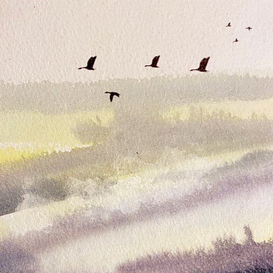 Marshland mist geese