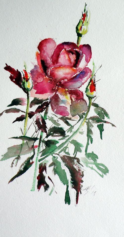 Roses of summer by Kovács Anna Brigitta