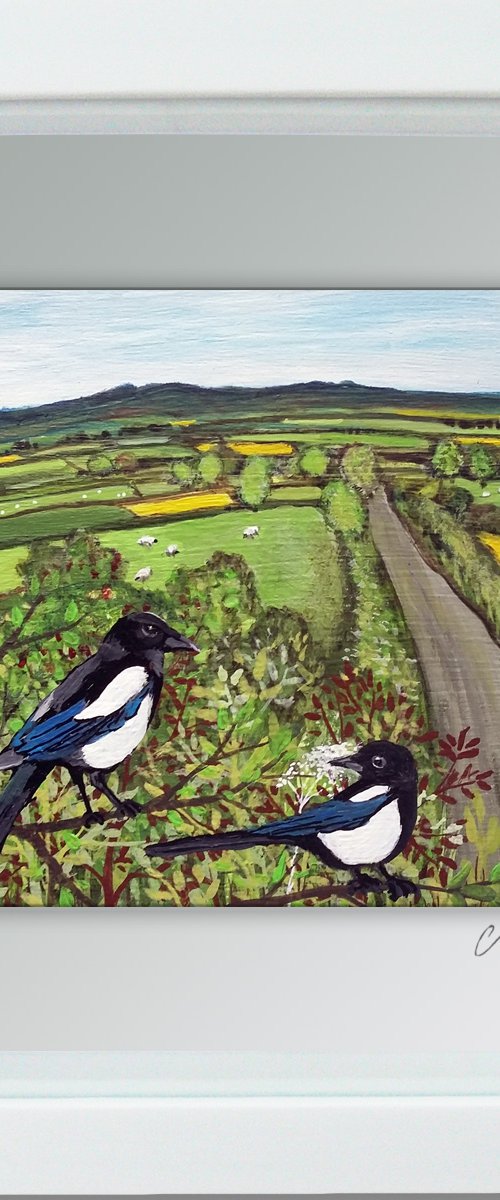 Two in the tree top (two for joy magpies) by Carolynne Coulson
