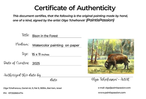 Bison in the Forest