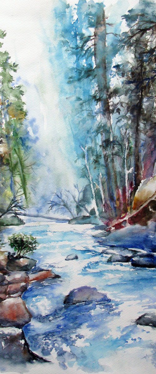 Forest stream No. 1 by Székelyhidi Zsolt