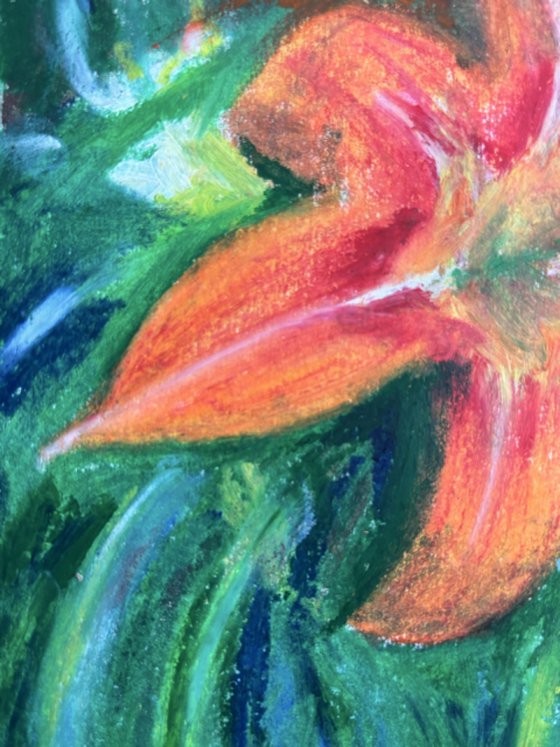 Fire Lily