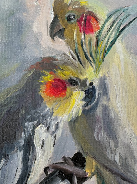 Parrots