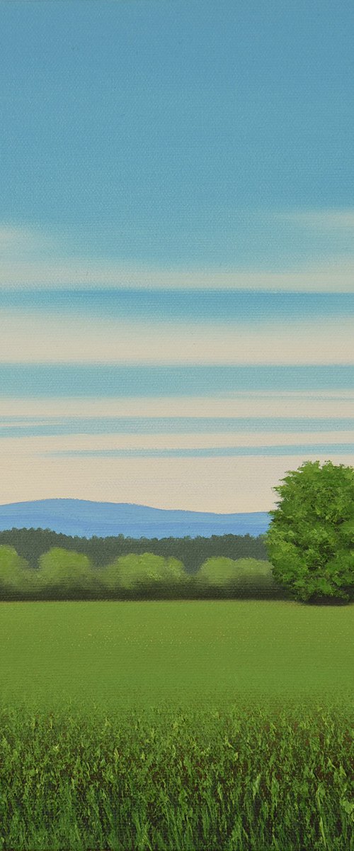 Countryside Vista - Blue Sky by Suzanne Vaughan