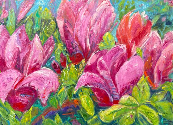 MAGNOLIAS