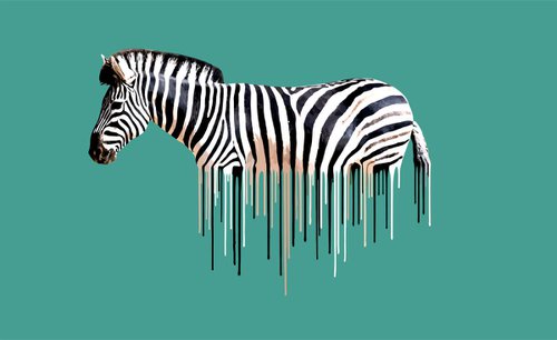 Zebra- Green by Carl Moore