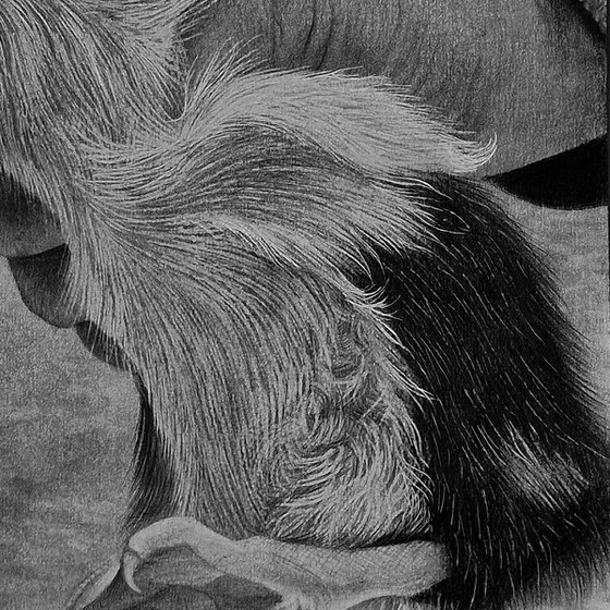 "Tiny Life in Hands"