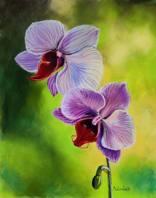 Purple orchid by Francesca Licchelli