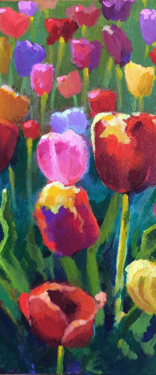 Tulip Garden by Sri Rao