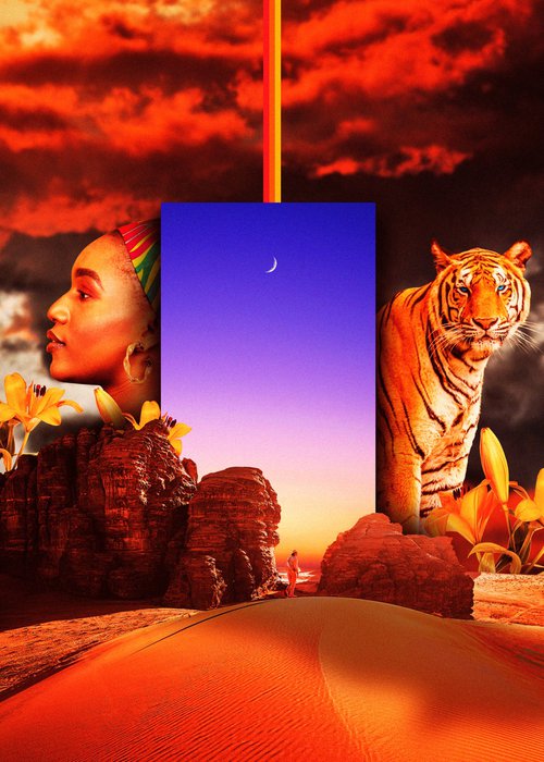 Desert & Tiger by Darius Comi