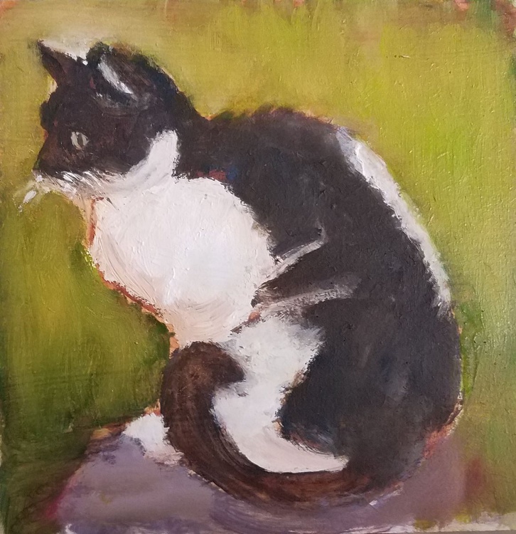 Black And White Cat By Leah Kohlenberg Fine Art Artfinder