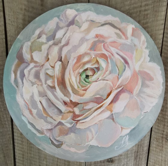 Ranunculus on round canvas.