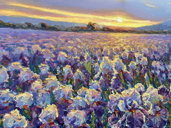 Field of Flowers