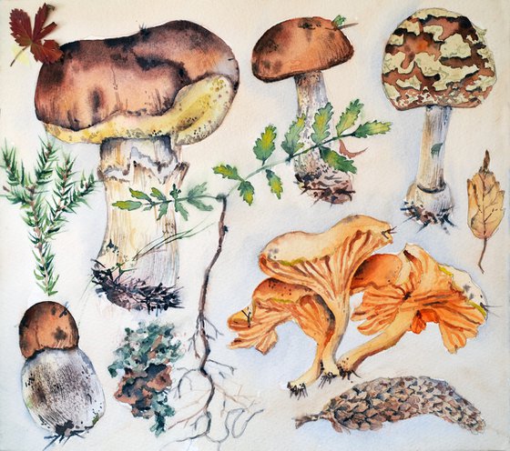 Gifts of the forest - original watercolor mushrooms collection
