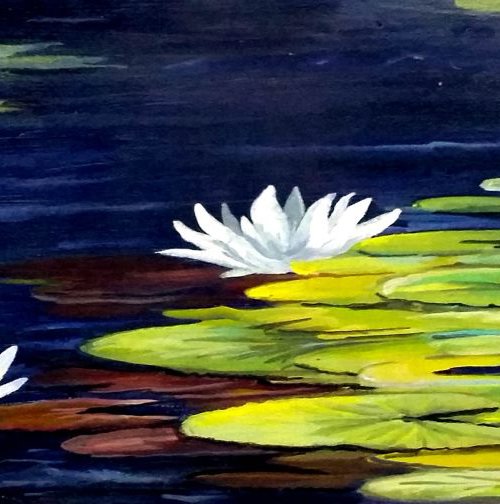 White Lotus on Pond by Samiran Sarkar