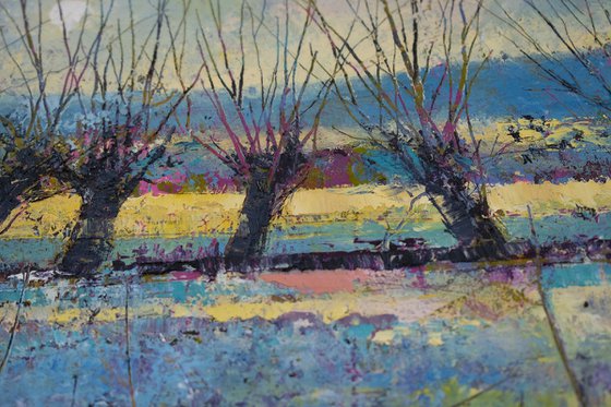 Winter Willows