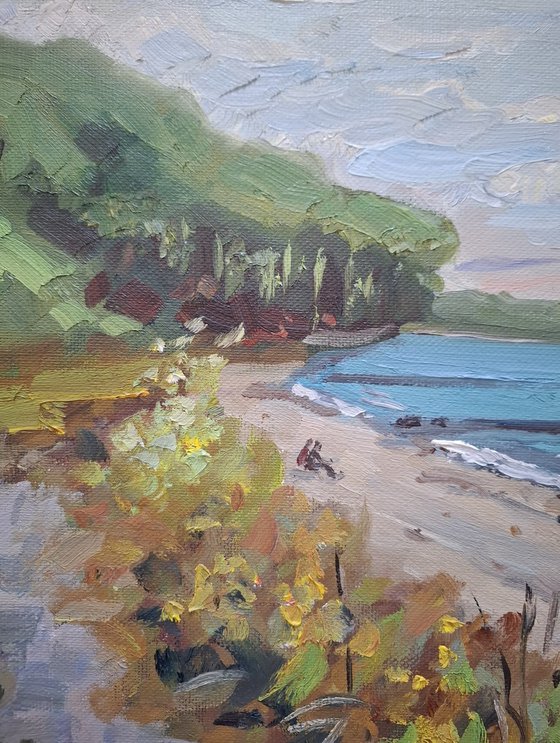 Baltic seashore