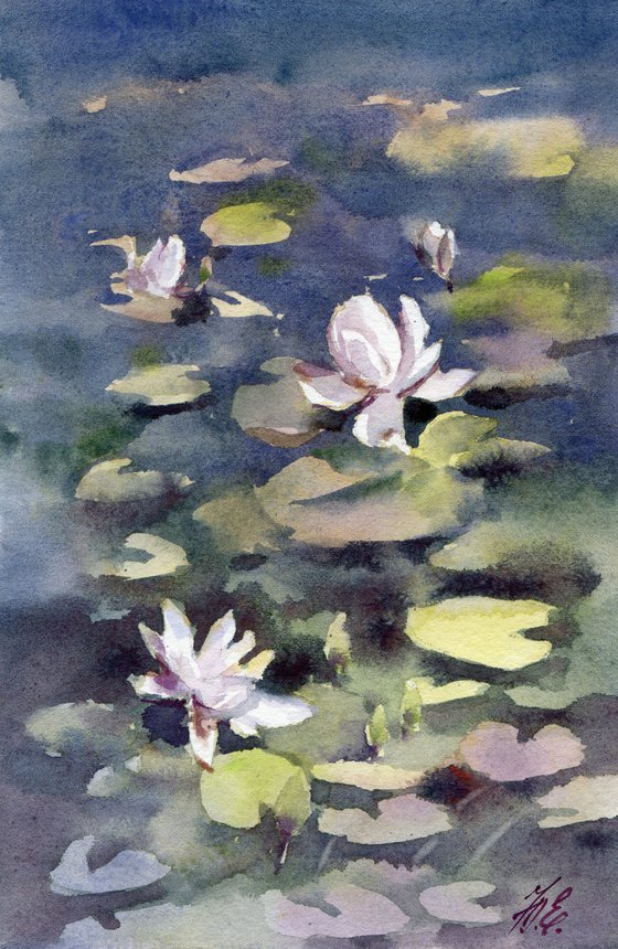 Water lilies, River flowers, White on dark blue