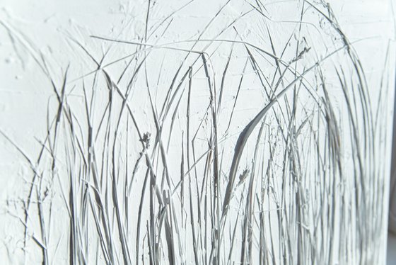 Meadow grasses