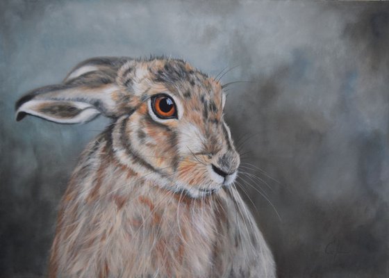 'Handsome Hare'