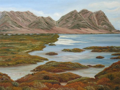 Salt Marsh by Angeles M. Pomata