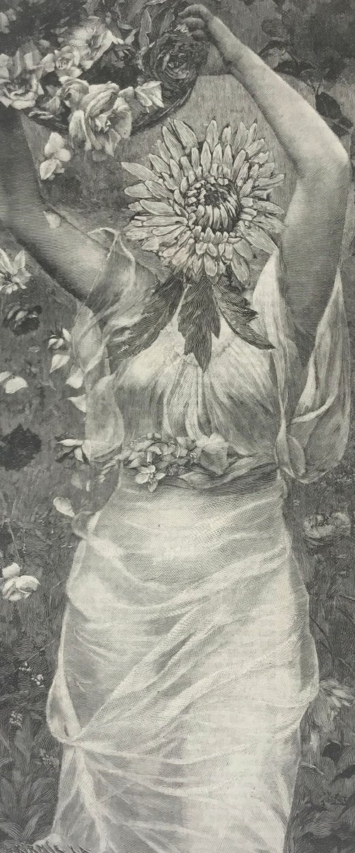 Roman Roses by Tudor Evans