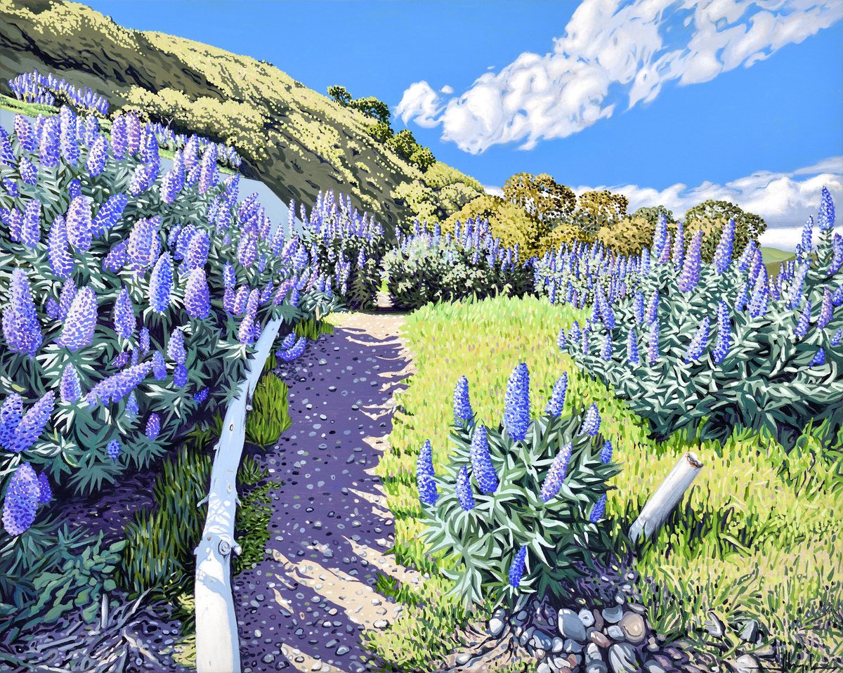 Sausalito / Fort Baker Trail by Alex Nizovsky